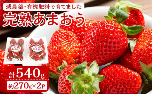 減農薬・有機肥料で育てた「完熟あまおう」２パック【2025年1月～3月発送】【いちご あまおう 完熟 あまおう 完熟 大任町産 ブランド フルーツ 果物 くだもの 食品 人気 おすすめ 福岡県 大任町 送料無料 E005】