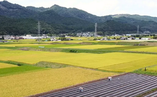 【漬物 種類指定可】たまり漬け・茨城県産 手作り味噌(700g 2個)・ 地場産の野菜使用 里美のたまり漬け(180g 3個 / 胡瓜たまり 辛入り胡瓜たまり 福里漬 大根たまり 楽京たまり ごまちゃん) | 茨城県 常陸太田市 味噌 みそ ミソ お漬物 漬け物 つけもの 美味しい おいしい 地場産 野菜 胡瓜 大根 楽京 ごま 米 大豆 100% 手作り 贈答 贈り物 プレゼント お取り寄せ