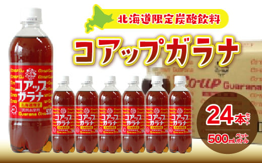 コアップガラナ24本セット（500mlペットボトル） ふるさと納税 人気 おすすめ ランキング コアップガラナ ガラナ 道産子ソウルドリンク 北海道代表 ご当地 北海道 七飯町 送料無料 NAQ003