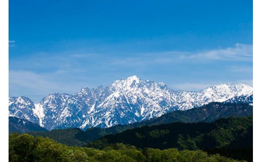 ドリンク おおかみ炭酸水 350ml×24本 [城山の湧水 富山県 上市町 32280160] 炭酸水 炭酸 城山の湧水 湧水 湧き水 スパークリングウォーター 軟水 長期保存