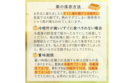 【先行予約】しろいの梨２品種セット豊水とあきづき 各5kg