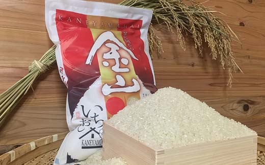 はえぬき 米 山形産 玄米20kg