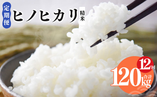 N10 【定期便】奈良県産 ヒノヒカリ 精米 10kg × 12回 合計 120kg (12回お届け) | 米 こめ コメ お米 オコメ おこめ 奈良県 御杖村  米 白米