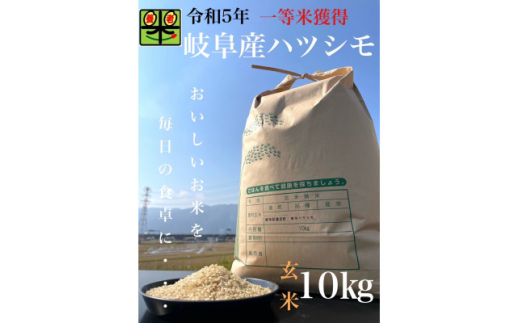 令和6年産　岐阜ハツシモ　10kg　玄米【1148641】