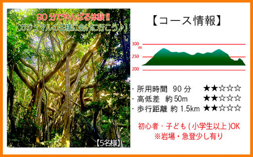 沖縄県北部やんばる・ガジュマルの王様に会いに行こう♪【5名様】