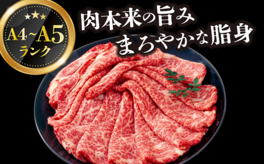 【厳選部位】【A4～A5】長崎和牛サーロインしゃぶしゃぶすき焼き用　600g（300g×2p）【株式会社 MEAT PLUS】 [DBS018]