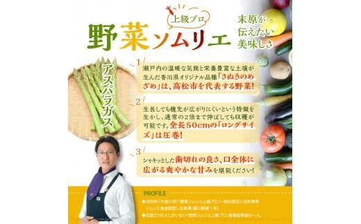 グリーン(約500g)・パープル(約300g)アスパラガス食べ比べセット【2025-3月上旬～2025-9月下旬配送】