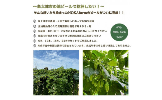 イズミ002クラフトビール ペールエール 330ml×6本×4セット ※2025年2月上旬～3月下旬頃に順次発送 ※離島への配送不可