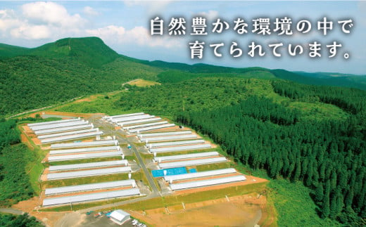 人気ブランド鶏をたっぷり【3回定期便】赤鶏「みつせ鶏」もも切身（バラ凍結）1.5kg（300g×5袋）吉野ケ里町/ヨコオフーズ [FAE049]