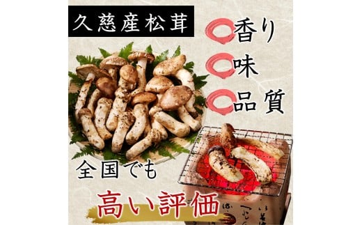 岩手県久慈市産松茸300g 岩手県久慈市産松茸300g 【公式通販】