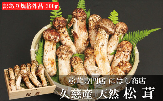 訳あり:規格外品」【季節限定】久慈産天然松茸 300g | 岩手県 訳あり:規格外品」【季節限定】久慈産天然松茸 300g | 岩手県