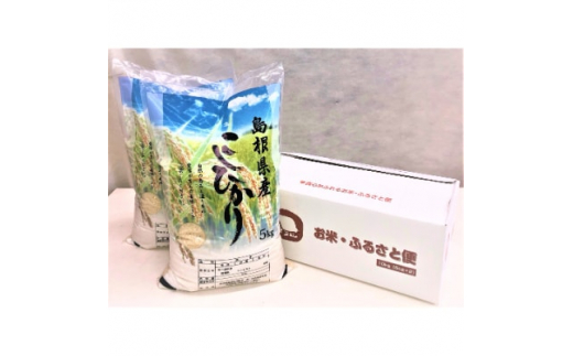 ＜令和6年10月中旬より順次発送＞令和6年産コシヒカリ精米10kg(5kg×2袋　吉賀町産)【1259645】