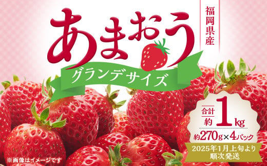 いちご の王様 ! あまおう グランデサイズ 約270g×4パック 合計約1,080g 【2025年1月上旬-4月上旬発送予定】