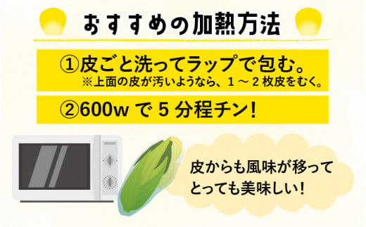 【数量限定】【１週間～10日で発送】とうもろこし 10本 おおもの 黄色 朝採れ｜おすすめ 人気 保存 美味しい ランキング 福井 福井県 トウモロコシ トウキビ 野菜 冷蔵 夏野菜 セット ギフト 旬 有機肥料使用