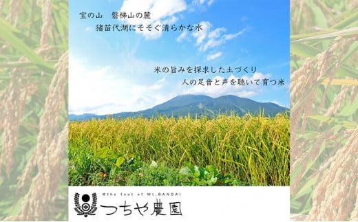 【令和6年産新米】猪苗代町産 特別栽培米コシヒカリ 5kg（精米） [№5771-1271]