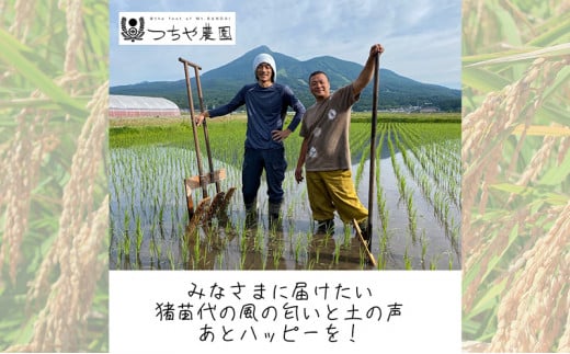 【令和6年産新米】猪苗代町産 特別栽培米コシヒカリ 5kg（精米） [№5771-1271]