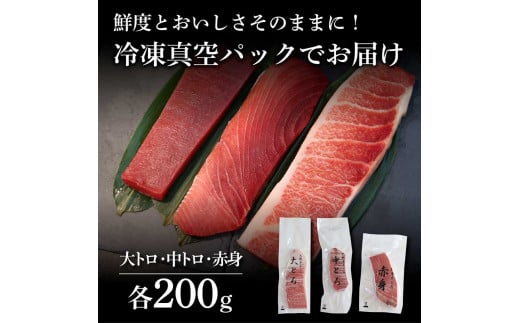 本鮪 大トロ・中トロ・赤身 各200g まぐろ3種盛セット マグロ まぐろ 本まぐろ 刺身 刺し身 魚 海鮮 冷凍 美味しい おいしい 食べ比べ セット 詰め合わせ 故郷納税 ふるさとのうぜい 返礼品 高知県 高知