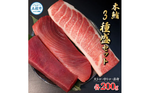 本鮪 大トロ・中トロ・赤身 各200g まぐろ3種盛セット マグロ まぐろ 本まぐろ 刺身 刺し身 魚 海鮮 冷凍 美味しい おいしい 食べ比べ セット 詰め合わせ 故郷納税 ふるさとのうぜい 返礼品 高知県 高知