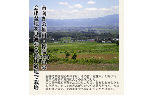 【令和6年産米】農薬87%削減コシヒカリ 合鴨農法　10kg(特別栽培米、旧名：会津磐梯山黄金米）