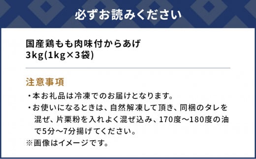 国産鶏もも肉 味付 唐揚げ 3kg(1kg×3袋) からあげ屋 鳥いちのから揚げ 弁当 おかず お惣菜 大分県産 九州産 津久見市 国産