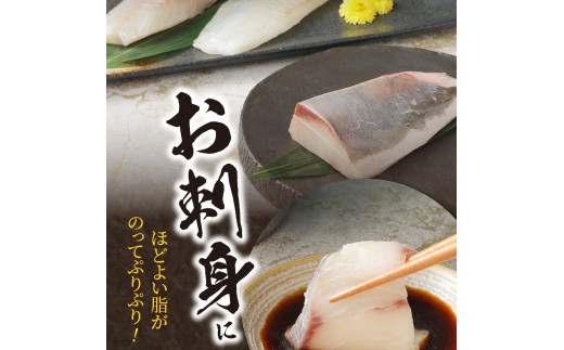 【訳あり】日向灘活〆ﾛｲﾝお刺身3種の食べ比べ計470g以上 N124-YZB059