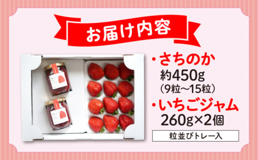 いちご 贈答 ギフト 特産品 産地直送 取り寄せ お取り寄せ 送料無料 広島 三次 16000円