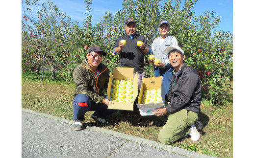 KR32-24A りんご シナノゴールド 家庭用 約5㎏／2024年10月下旬頃～配送予定 //長野県 南信州 松川町 りんご リンゴ 林檎 シナノゴールド  黄色りんご 家庭用 訳あり