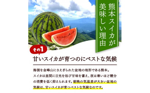 スイカ王国 くまもと ！ 熊本県産 大玉 スイカ 1玉 【 4月 ～ 6月 発送 】  | 果物 フルーツ スイカ すいか 西瓜 大きい 名産地 スイカ 熊本県 玉名市