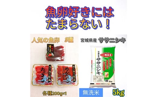 ＜おすすめセット＞人気の魚卵3種セット計600g&宮城県産ササニシキ無洗米5kg＜複数個口で配送＞【4000531】