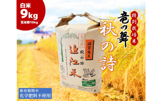 2023年産 竜の舞 秋の詩 白米 9kg（玄米時 10kg ） お米 おこめ 米 化学肥料不使用 特別栽培米 国産 近江米 農家直送 産地直送 滋賀県 竜王町 送料無料