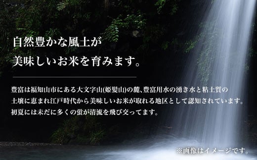 【新米】はるまる農園のミルキークイーン（無洗米）5kg×2　合計10kg 令和６年産　京都丹波福知山産 ／ ふるさと納税 無洗米 精米 米 こめ ご飯 ごはん 白米 ミルキークイーン 京都府 福知山市 FCCN024