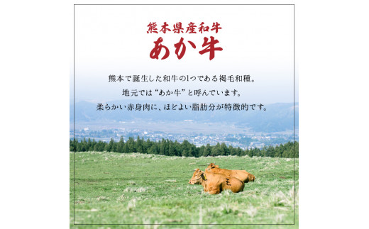 89-94　熊本県産和牛　肥後のあか牛　炙り焼きしゃぶ500g（250ｇ×2）