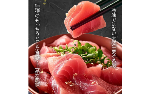 直送！天然生まぐろ 柵 500g ※離島への配送不可