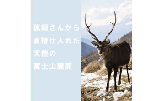 無添加 ドッグフード 鹿肉ジャーキー 100g [TMY 山梨県 韮崎市 20741829] ペット 犬用 おやつ ジャーキー