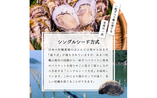 あまべ牡蠣 冷凍 40個 約2.4kg 牡蠣 シングルシード 生食用 殻付き かき カキ オイスター 生ガキ 生牡蠣 生がき 生かき