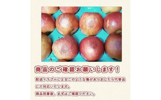 【11月下旬発送】 特A 蜜入り サンふじ 約5kg 糖度13度以上【青森りんご・マルコウアップル】