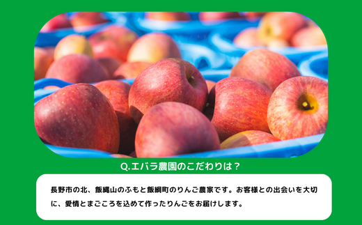 りんご シナノスイート 家庭用 5kg エバラ農園 沖縄県への配送不可 2024年10月上旬頃から2024年11月中旬頃まで順次発送予定 令和6年度収穫分 信州 果物 フルーツ リンゴ 林檎 長野 12500円 予約 農家直送 長野県 飯綱町 [1631]