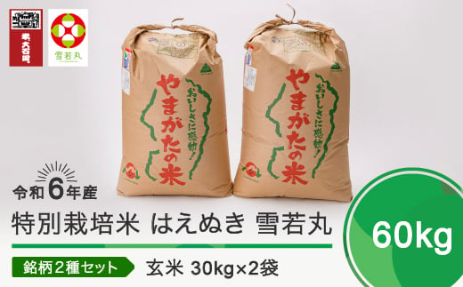 新米 令和6年11月上旬発送 はえぬき 雪若丸 各30kg 計60kg 玄米 令和6年産 ja-hygxb60-11f