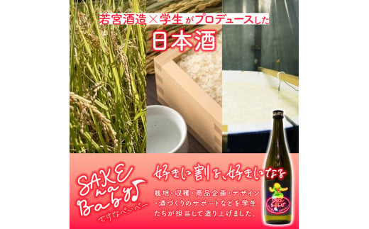 日本酒 SAKE na Baby 720ml×2本【 日本酒 酒 若宮酒造 贈り物 国産 プレゼント ギフト 贈答 こだわり 特産品 オリジナル 綾部 京都 】