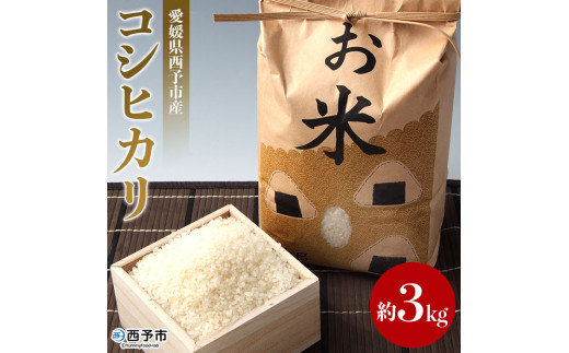 令和５年産　愛媛県西予市産　お米コシヒカリ３kg