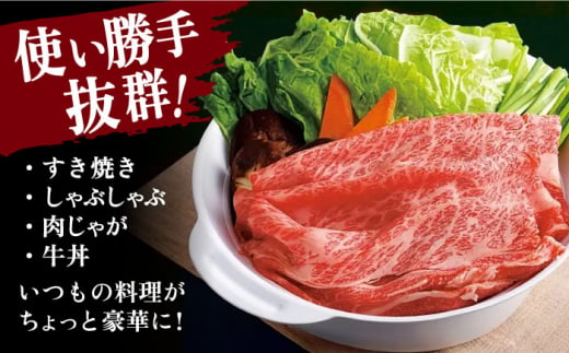 長崎和牛切り落とし500g×2パック 長崎県/田中精肉店 [42ABAO001] 和牛 切り落とし すき焼き しゃぶしゃぶ 牛肉