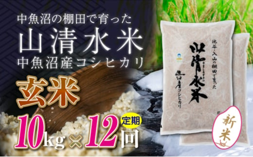 【令和6年産】【定期便／全12回】玄米10kg　新潟県魚沼産コシヒカリ「山清水米」十日町市 米