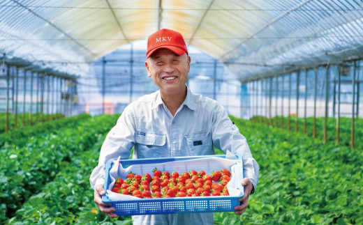 【香春町限定】 福岡県産 あまおう 冷凍 約1kg (500g×2袋)  特別栽培 【 数量限定 】