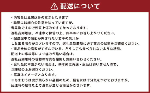 【香春町限定】 福岡県産 あまおう 冷凍 約1kg (500g×2袋)  特別栽培 【 数量限定 】