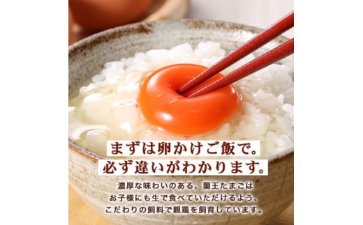  蘭王たまご 60個 ( 10個入り × 6パック ) ギフト箱でお届け 卵 たまご 玉子 タマゴ 鶏卵 まとめ買い オムレツ 卵かけご飯 朝食 料理 人気 美味しい 【1322802】