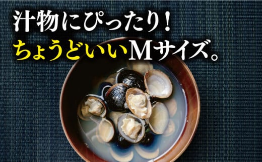 宍道湖産 冷凍大和しじみ 砂抜き済 Mサイズ800g×3袋(2.4kg) 島根県松江市/しじみ市場株式会社 [ALDK002]