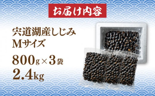 宍道湖産 冷凍大和しじみ 砂抜き済 Mサイズ800g×3袋(2.4kg) 島根県松江市/しじみ市場株式会社 [ALDK002]