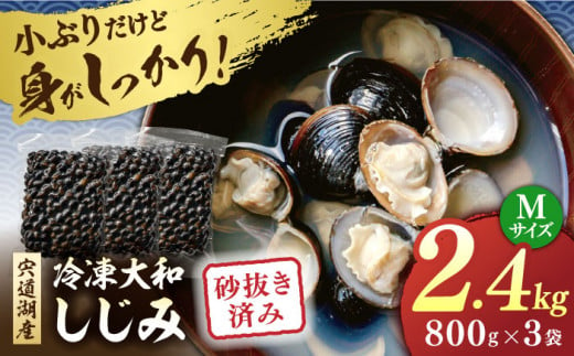 宍道湖産 冷凍大和しじみ 砂抜き済 Mサイズ800g×3袋(2.4kg) 島根県松江市/しじみ市場株式会社 [ALDK002]