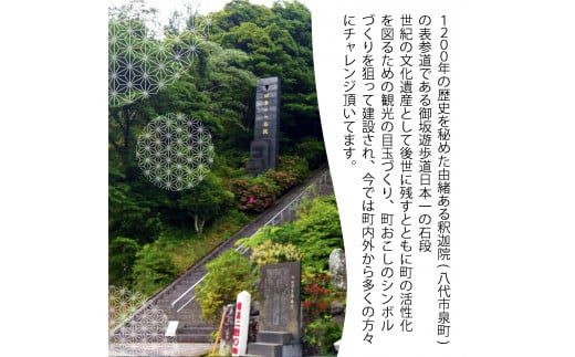 【ふるさと納税】日本一の石段 御芳名 木札 10万円 文化遺産 釈迦院御坂遊歩道 3333段 熊本 美里町 日本一