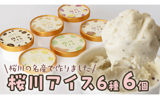 【生産者支援】桜川アイス 6種 6個 セット  数量限定 食べ比べ 90ml×6種類 桜川市のこだわり素材を使用 アイス あいす デザート スイーツ 産地限定 おやつ カップ フレーバー メロン ゆず 蜜芋 コーヒー 栗 茨城県  [SC040sa]